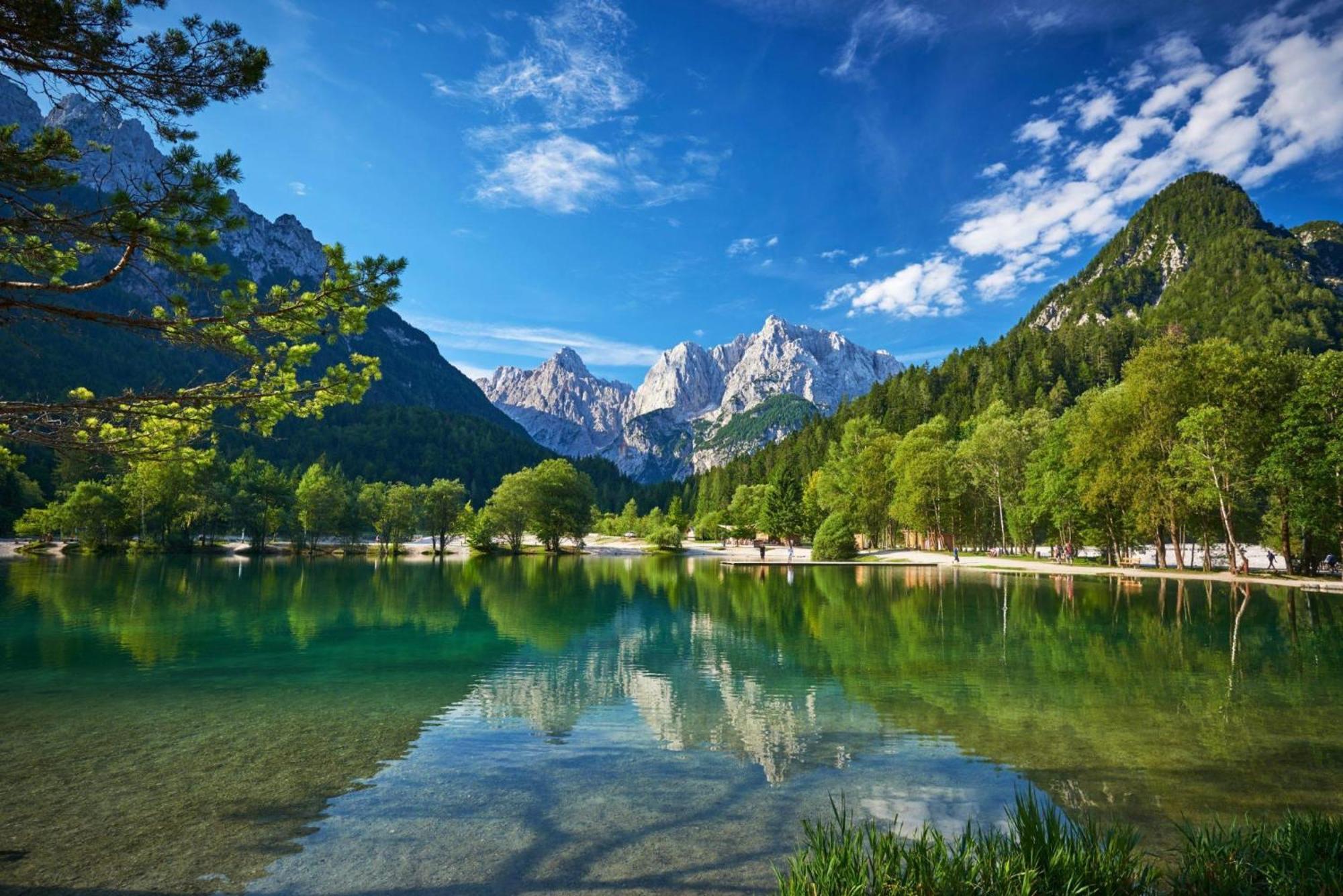 Spring And Summer Near Ljubljana With Free Secure Parking Apartment *